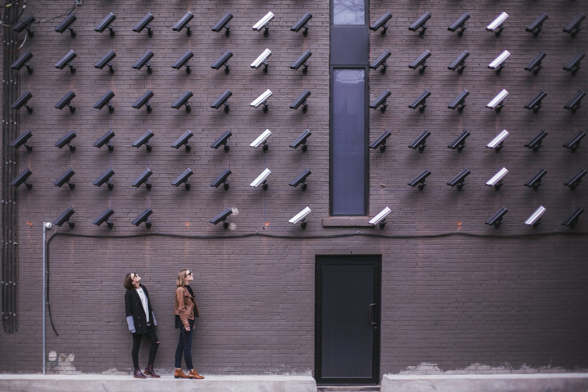 SEO: why daily monitoring is your ROI asset?